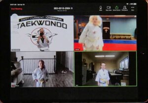 taekwondo Online Training