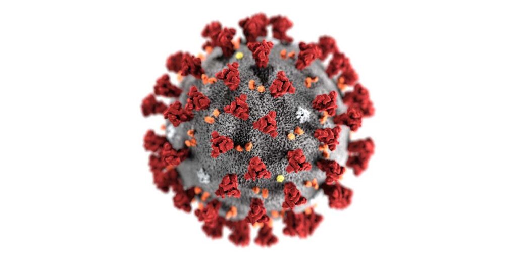 can martial arts survive covid