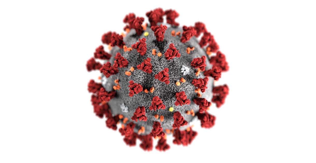 can martial arts survive covid