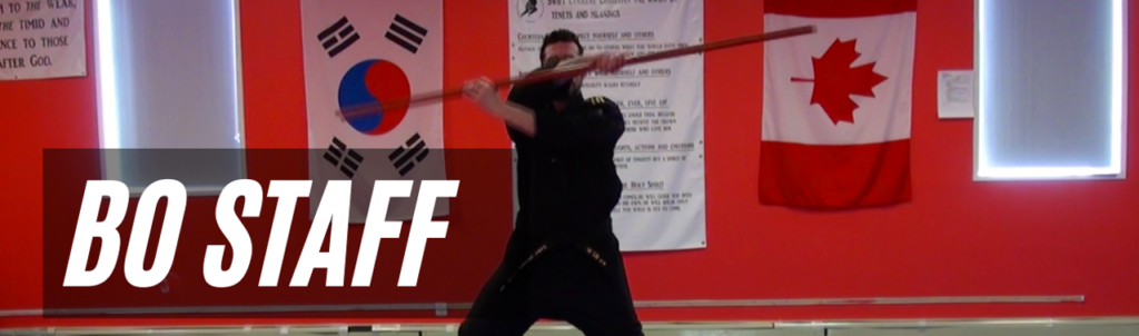 Bo Staff strikes for beginners