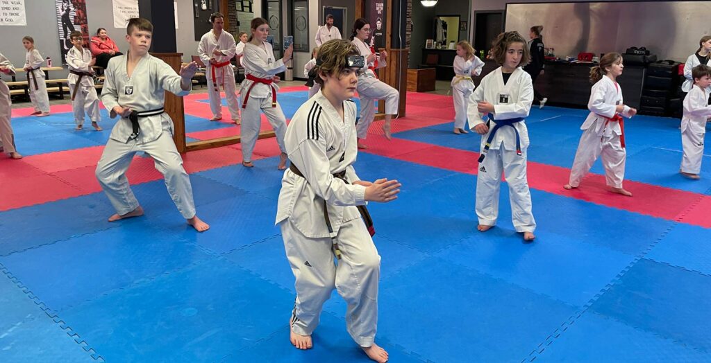 Why Taekwondo is Important