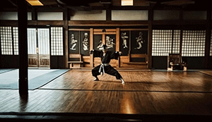 Founding Principles and Philosophy of Taekwondo