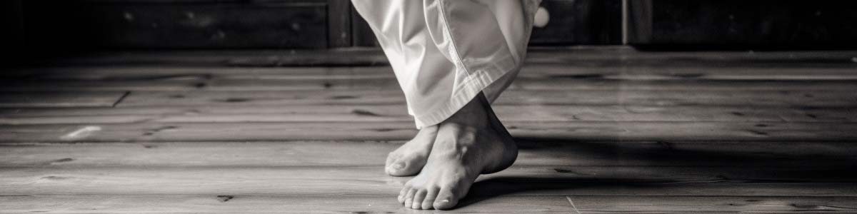 Taekwondo stances and footwork