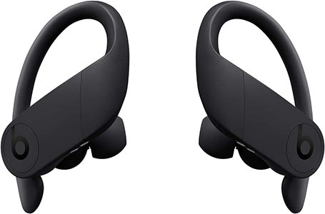 Beats Powerbeats Pro Wireless Earbuds