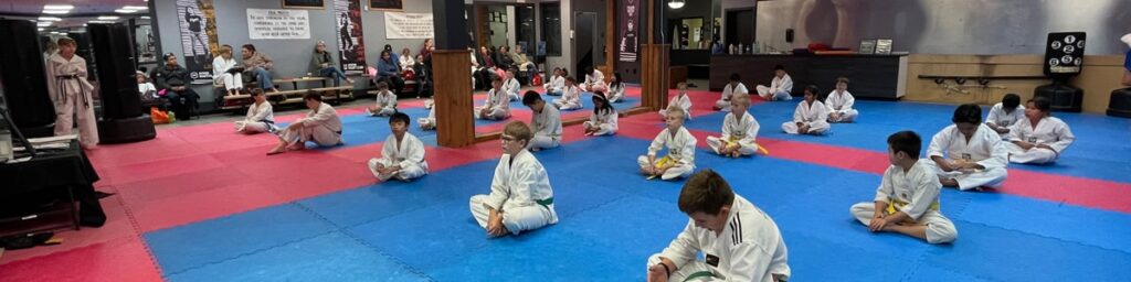 Taekwondo's Child Development Perks