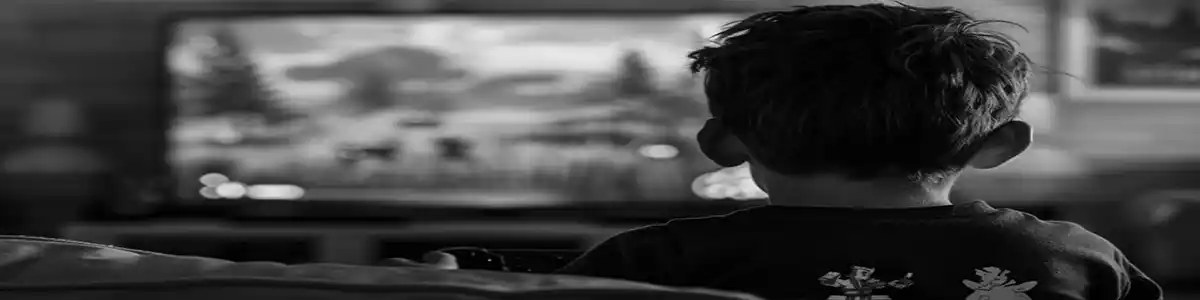 Cyberbullying And Social Media Platforms